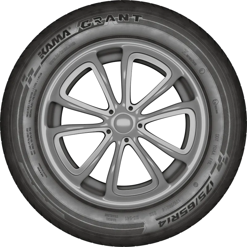 KAMA GRANT (НК-241) в Чаплыгине — KAMA TYRES KAMA GRANT (НК-241) в Чаплыгине